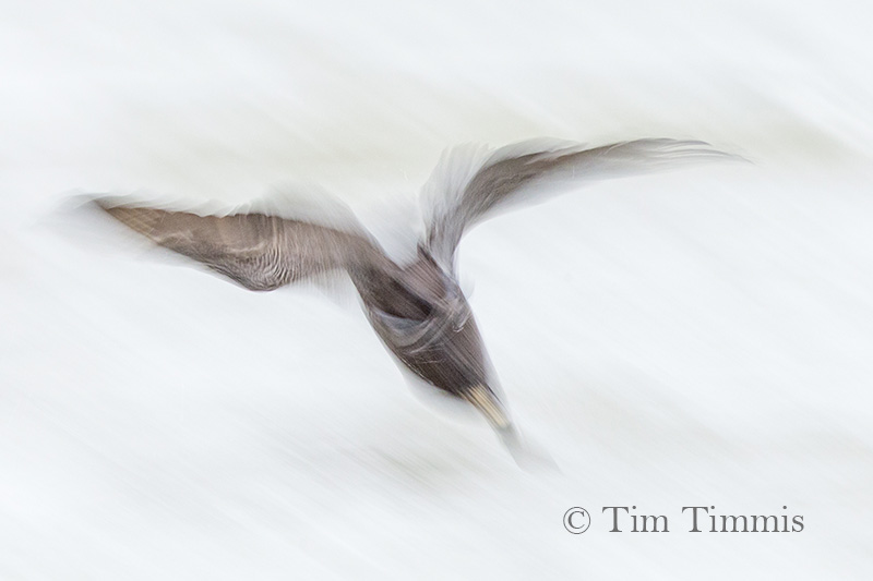 0043Texas City Dike03242018-3