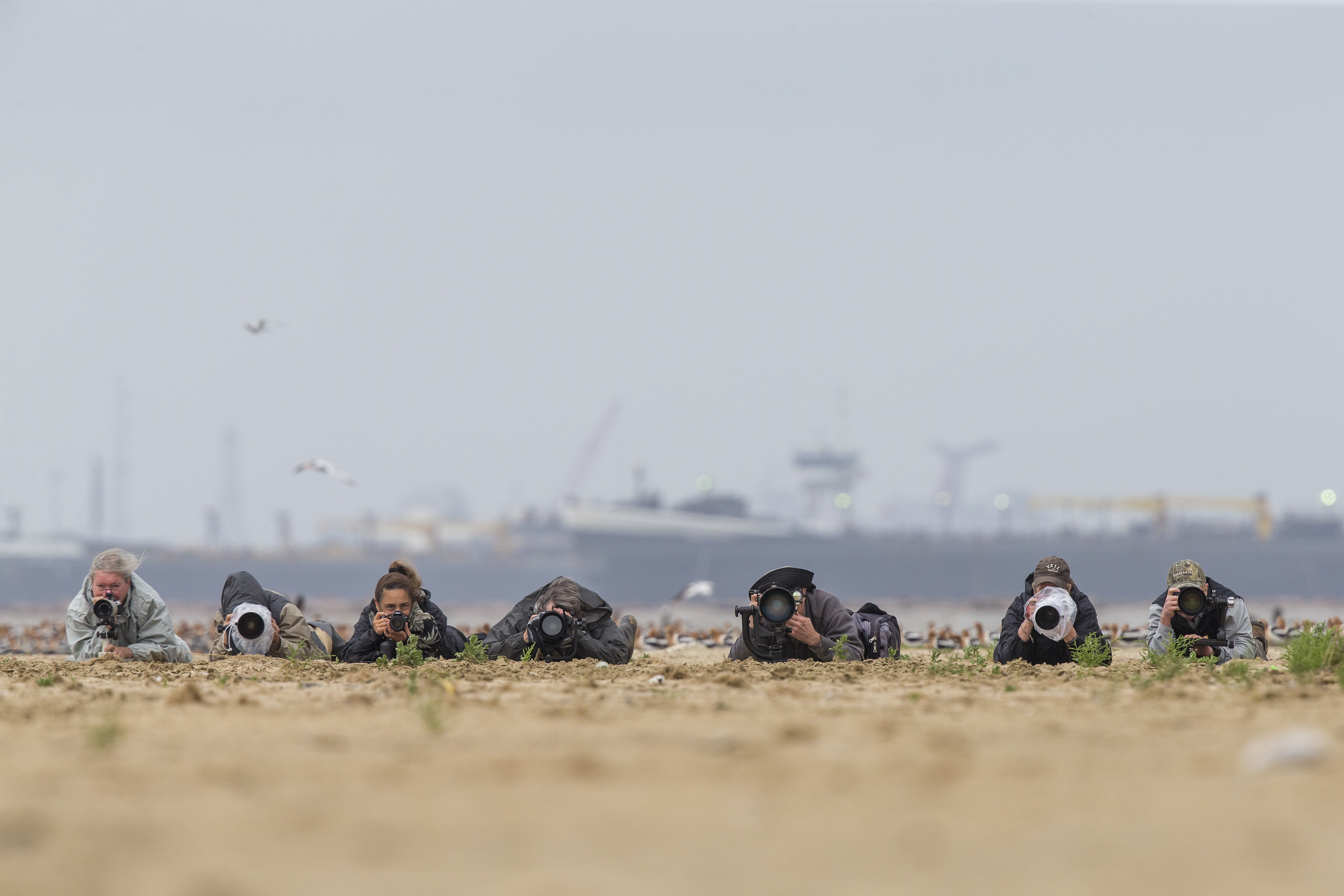 1638_Bolivar Flats_04212018