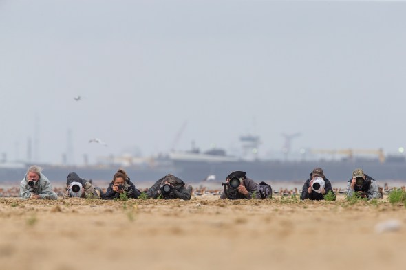 1638_Bolivar Flats_04212018