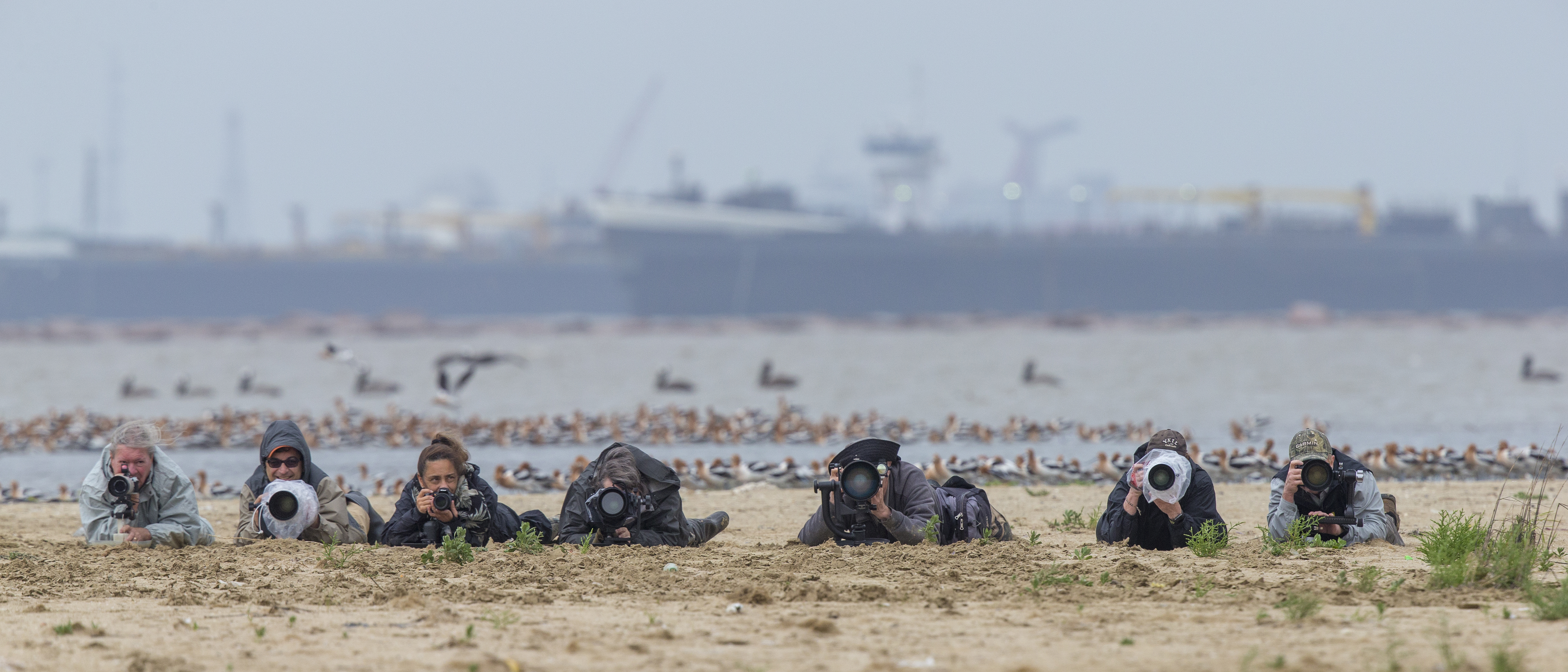 1645_Bolivar Flats_04212018