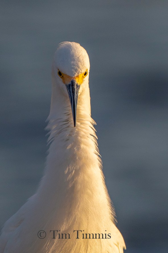 1136_Texas_City_Dike_04272019-4