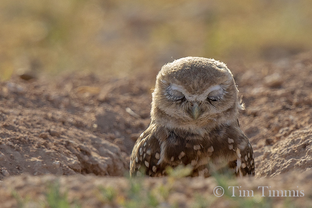 0155_Lubbock_08192019-2